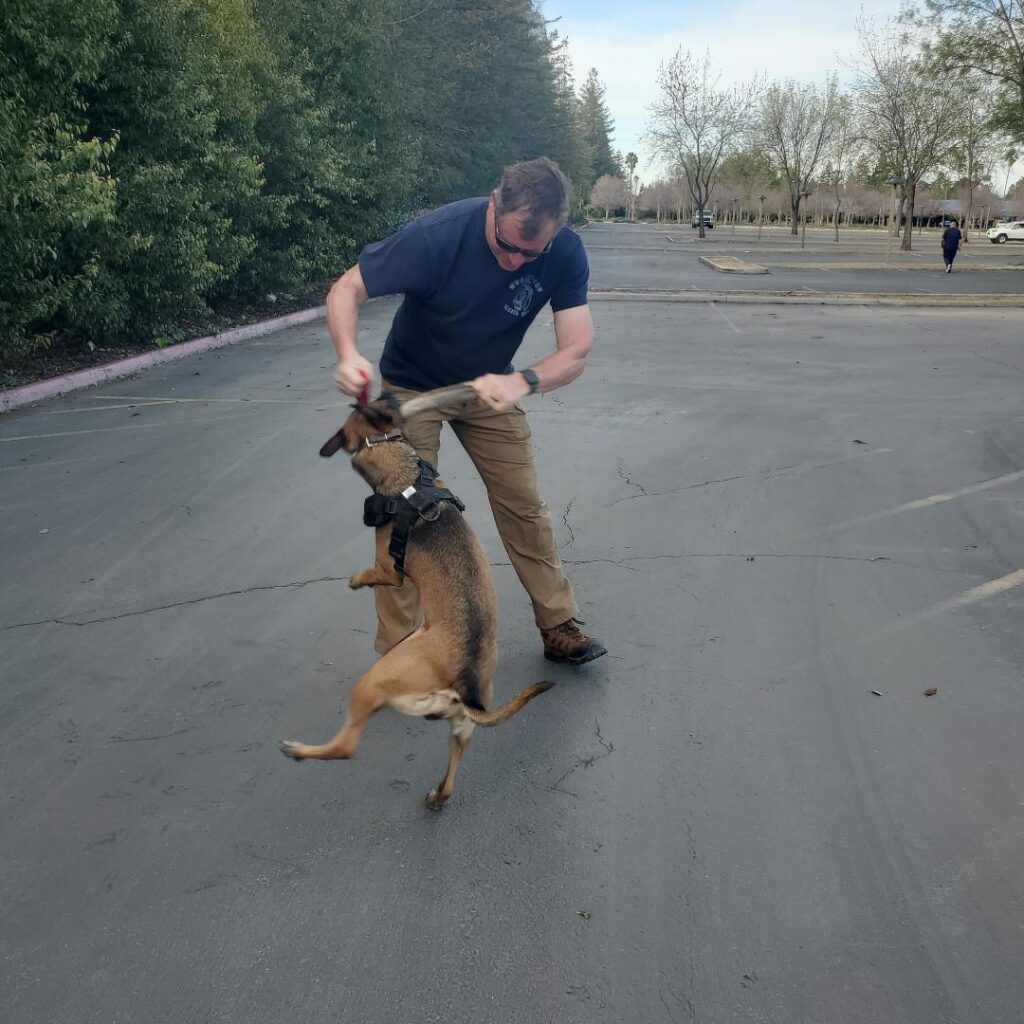 K9 Tracking Training K9 Trailing Training Idaho K9 Training